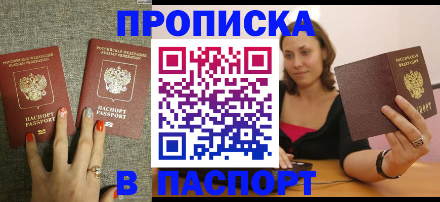 прописка паспорт в Камышлове